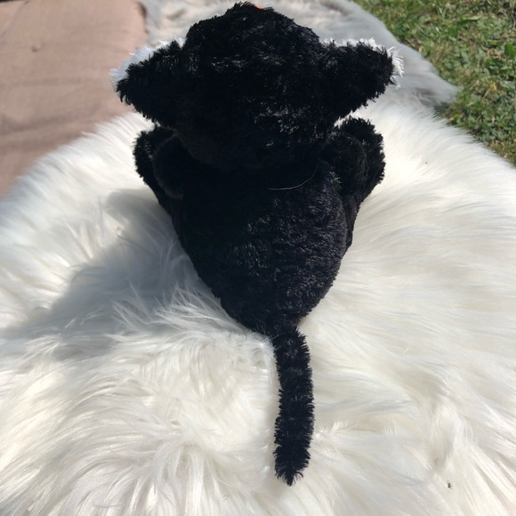 Black and white cat with Jack o lantern - Picture 3 of 4
